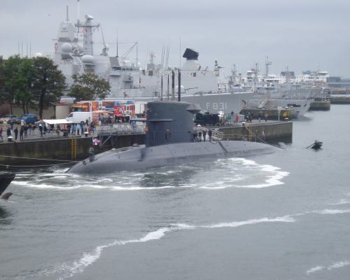 Dolfijn (S808)