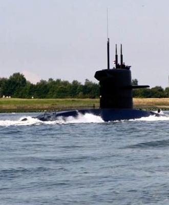 Zr.Ms. Bruinvis (S810)